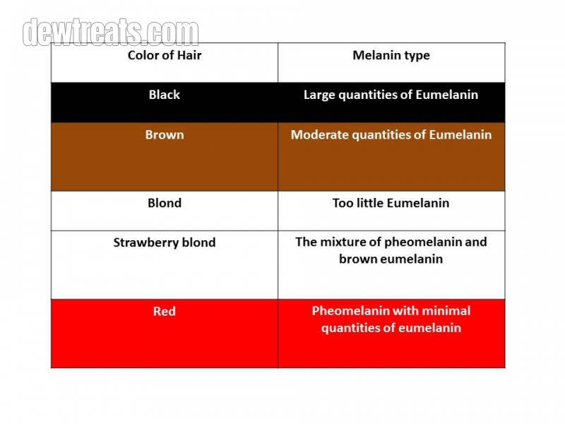 Melanin