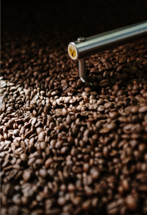 best organic coffee beans