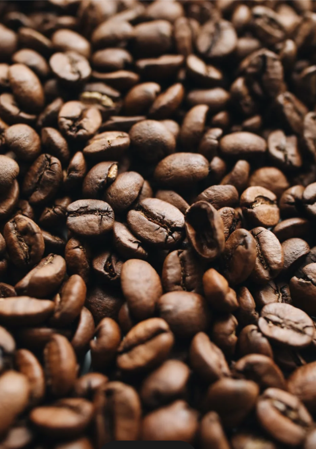 best organic coffee beans