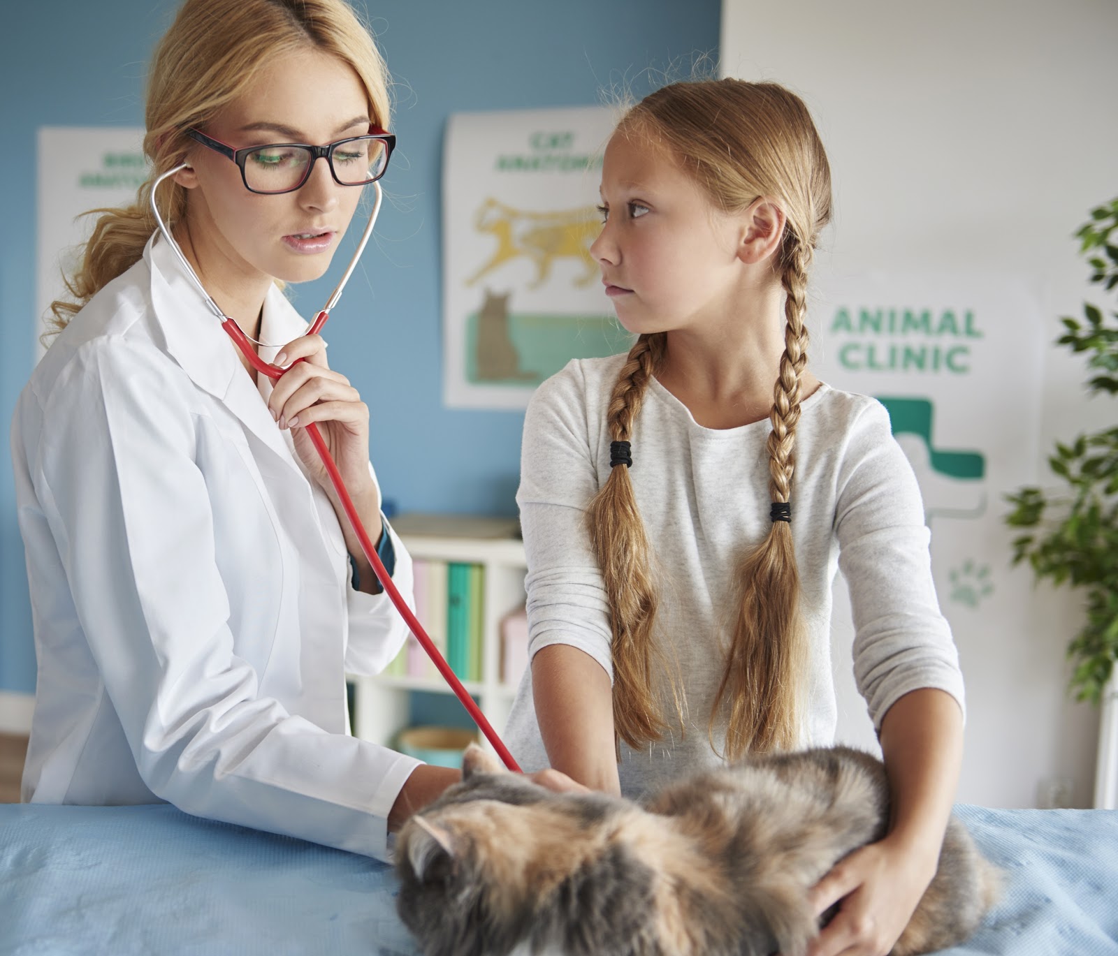 Pet health insurance that covers pre-existing conditions