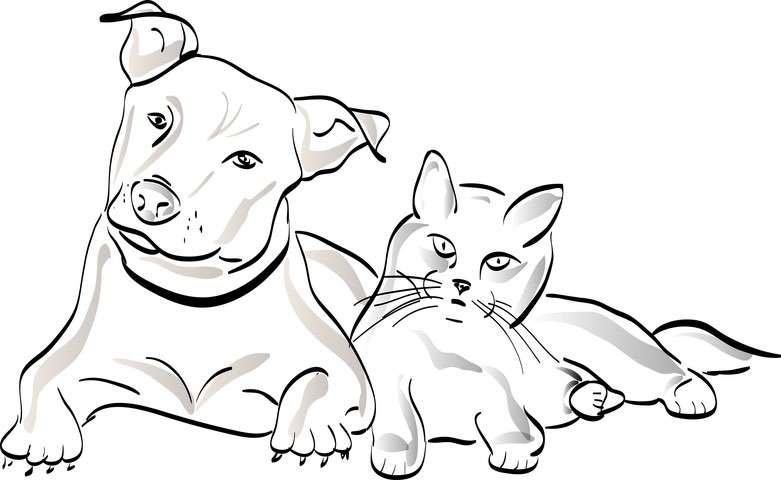 Pet Health Insurance That Covers Pre Existing Conditions Health