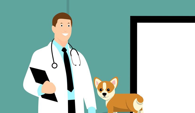 pet health insurance that covers pre-existing conditions