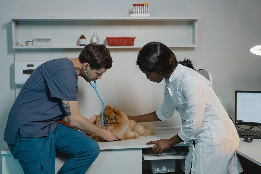 Family Pet Health Center