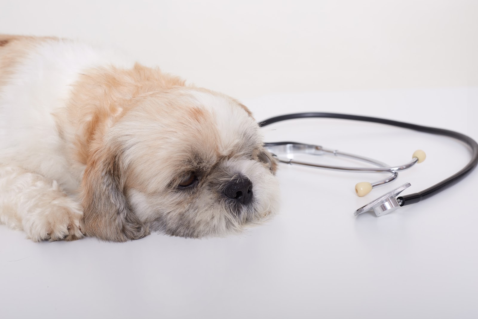 Pet health savings accounts