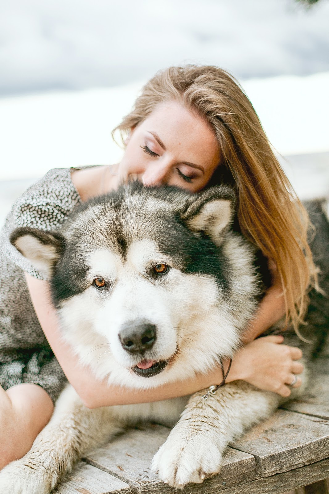 Pet health savings accounts