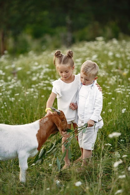 Santa Cruz animal health