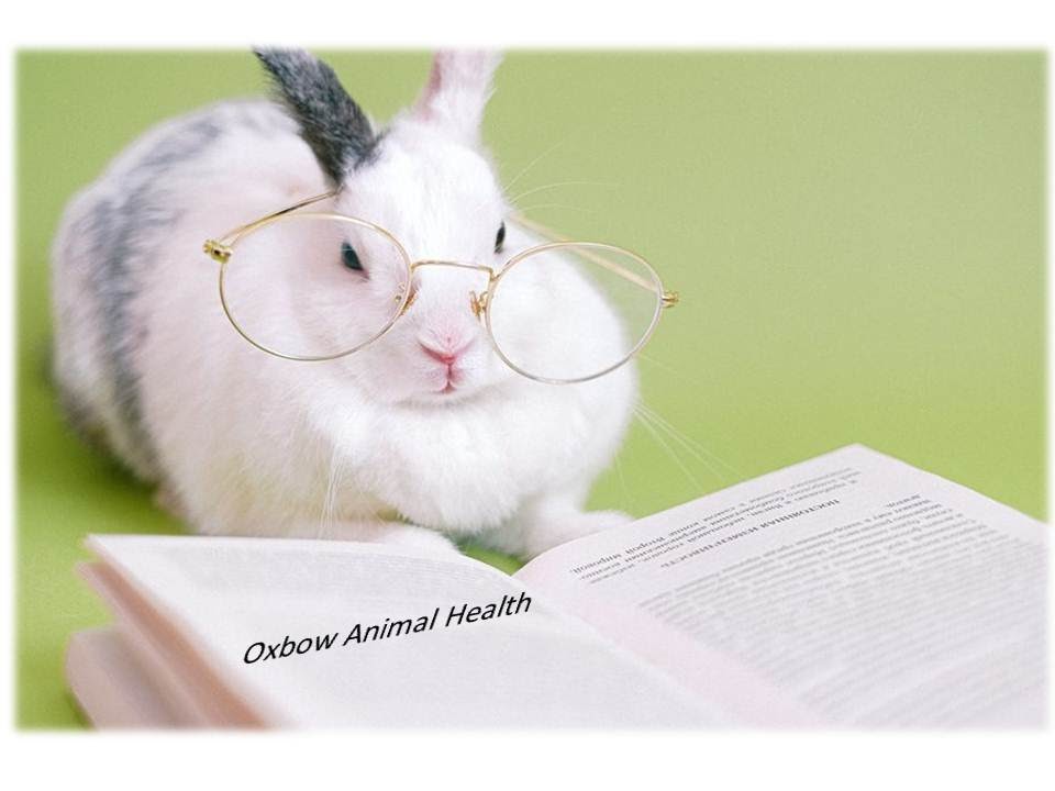 Oxbow Animal Health