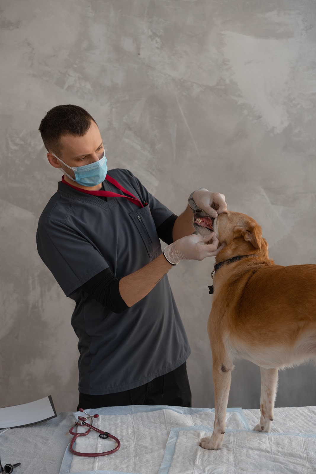 Animal Health Technician Salary