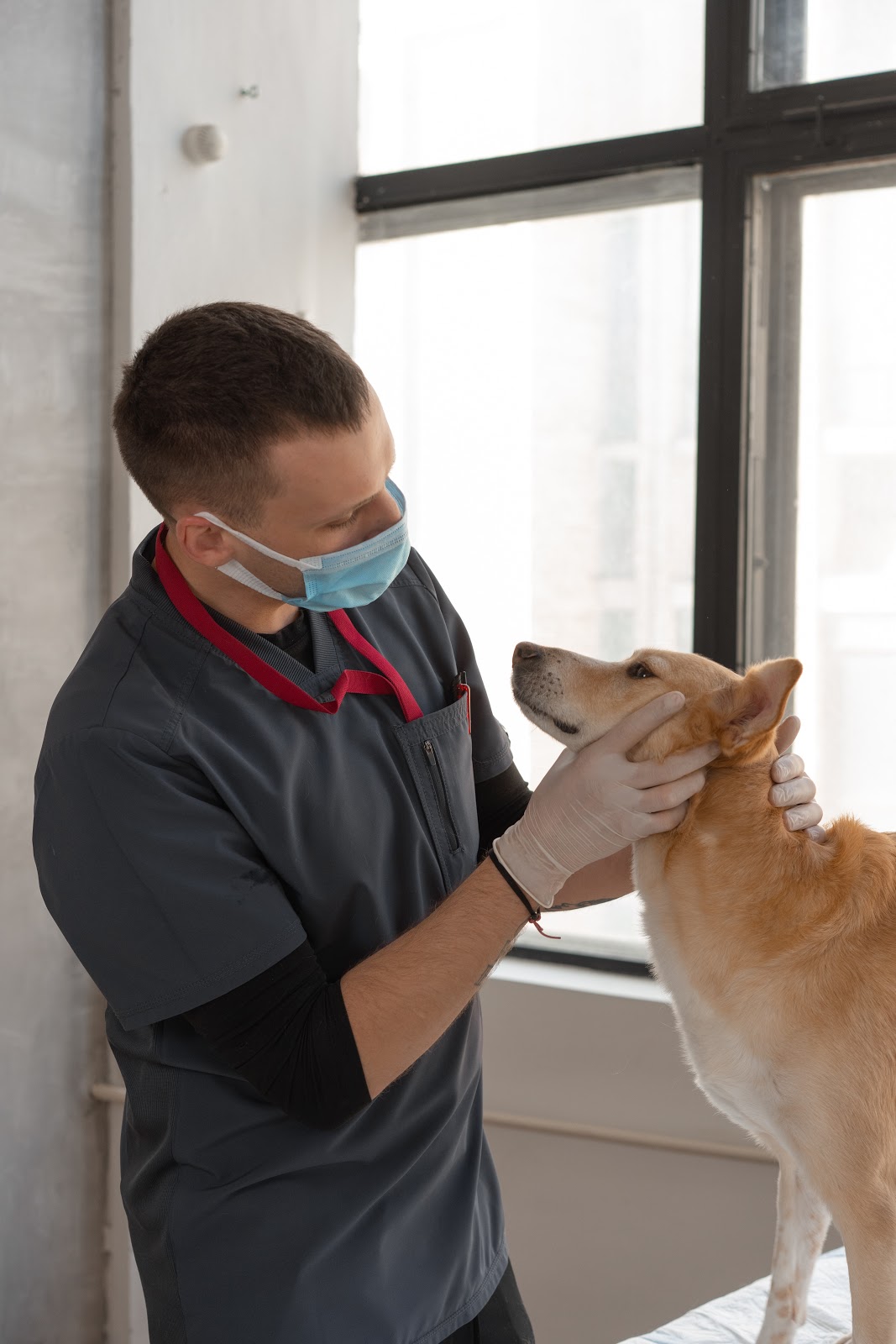 Animal Health Technician
