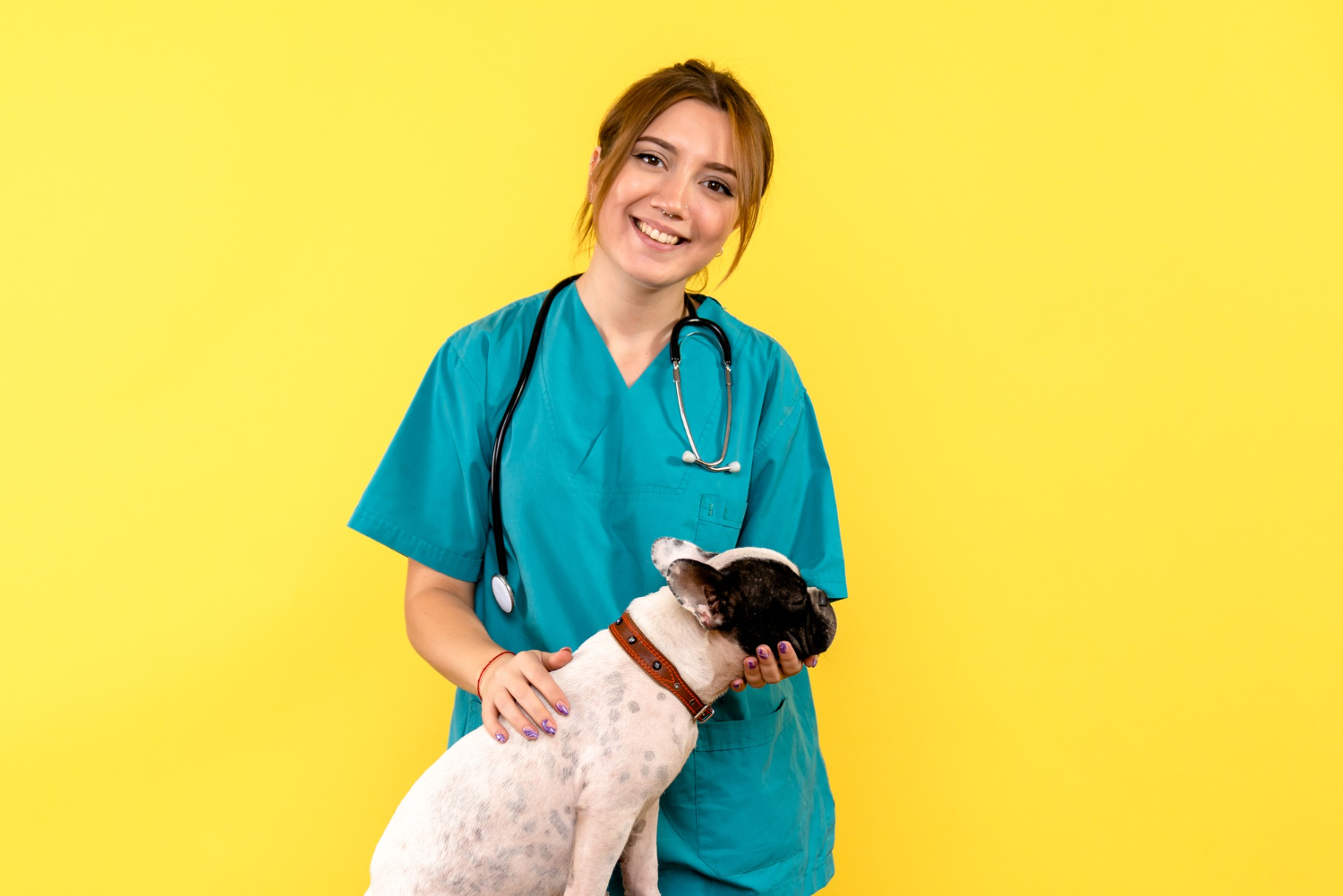 South coastal animal health