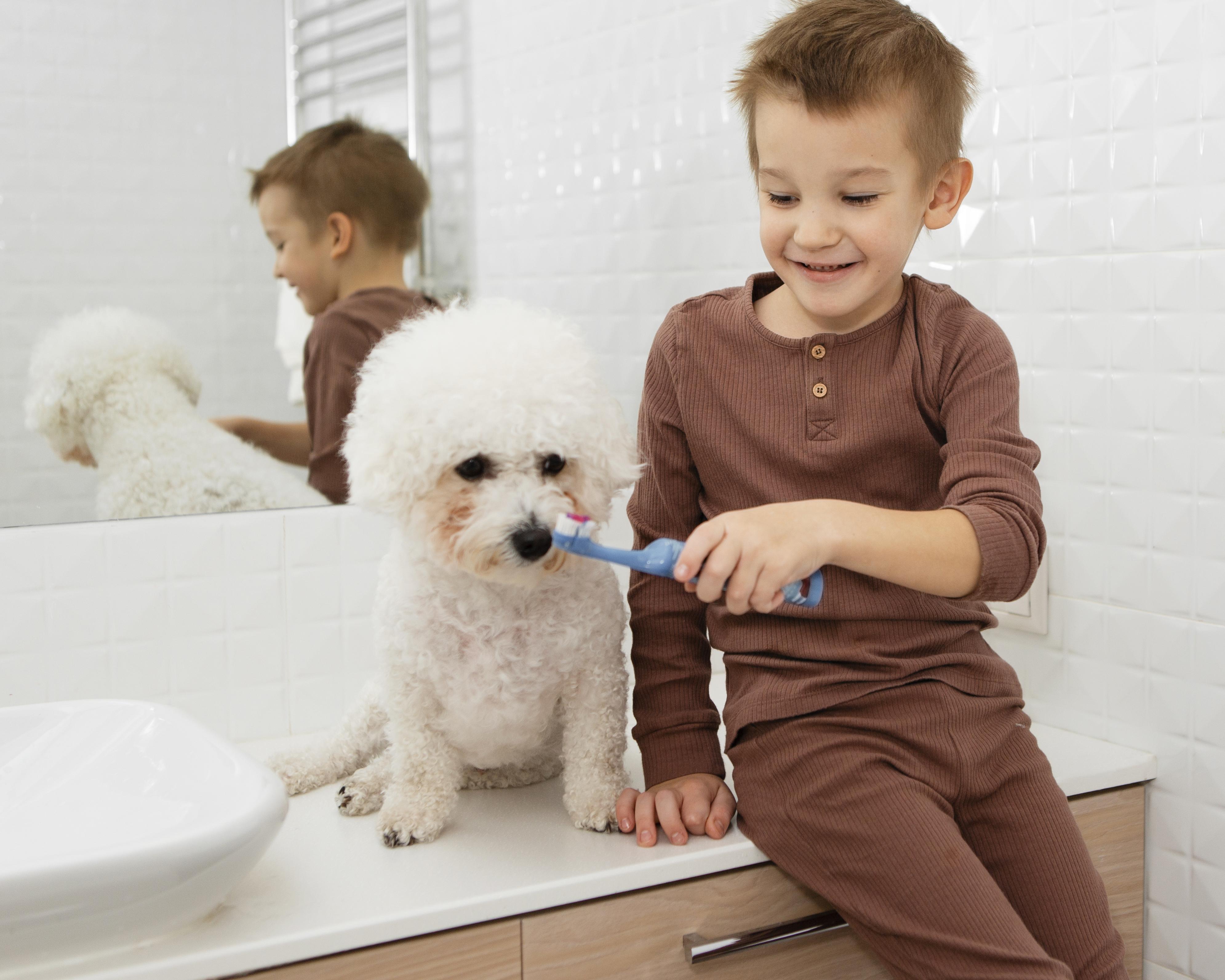 pet dental health month