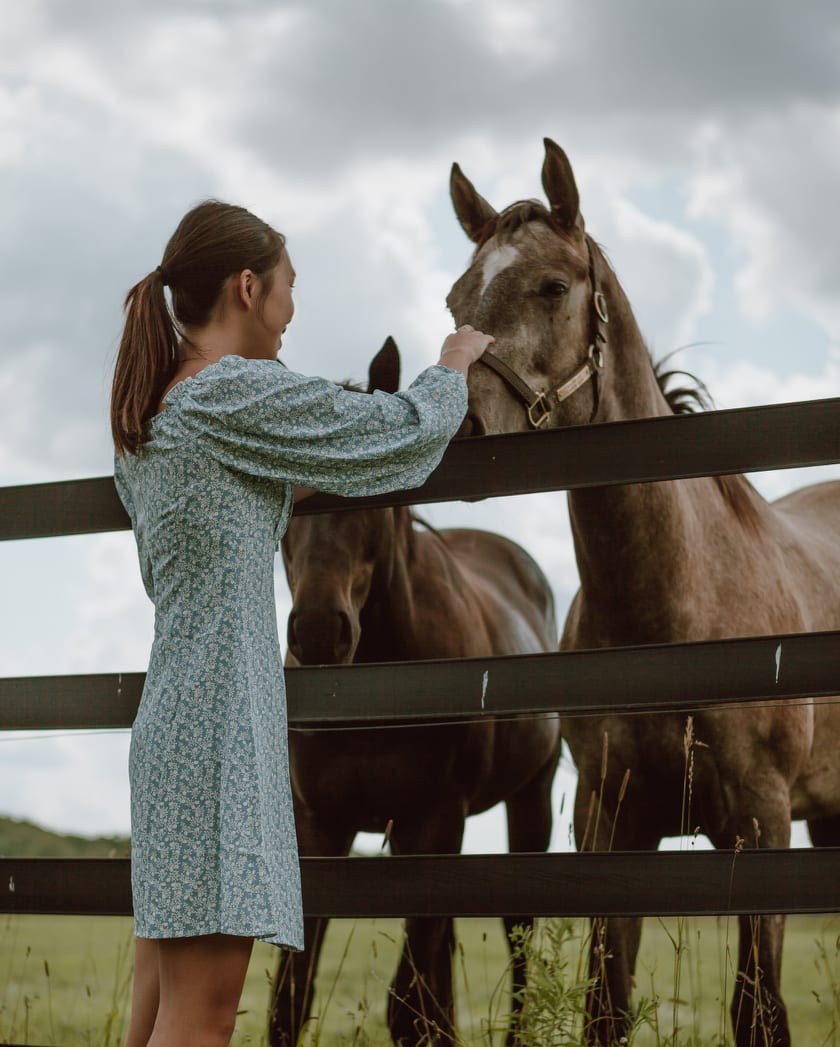 K State Vet Clinic