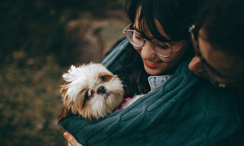 Solon Vet Clinic All You Need To Know For Your Pet's Health