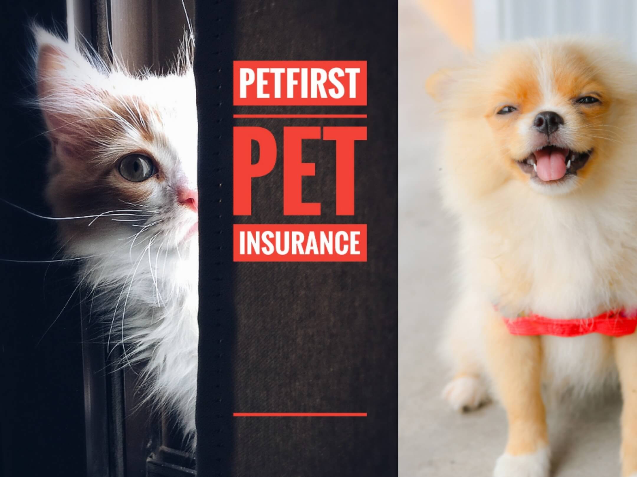 Petfirst pet insurance