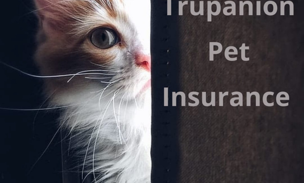 Trupanion Pet Insurance Cost One Of The Best Companies