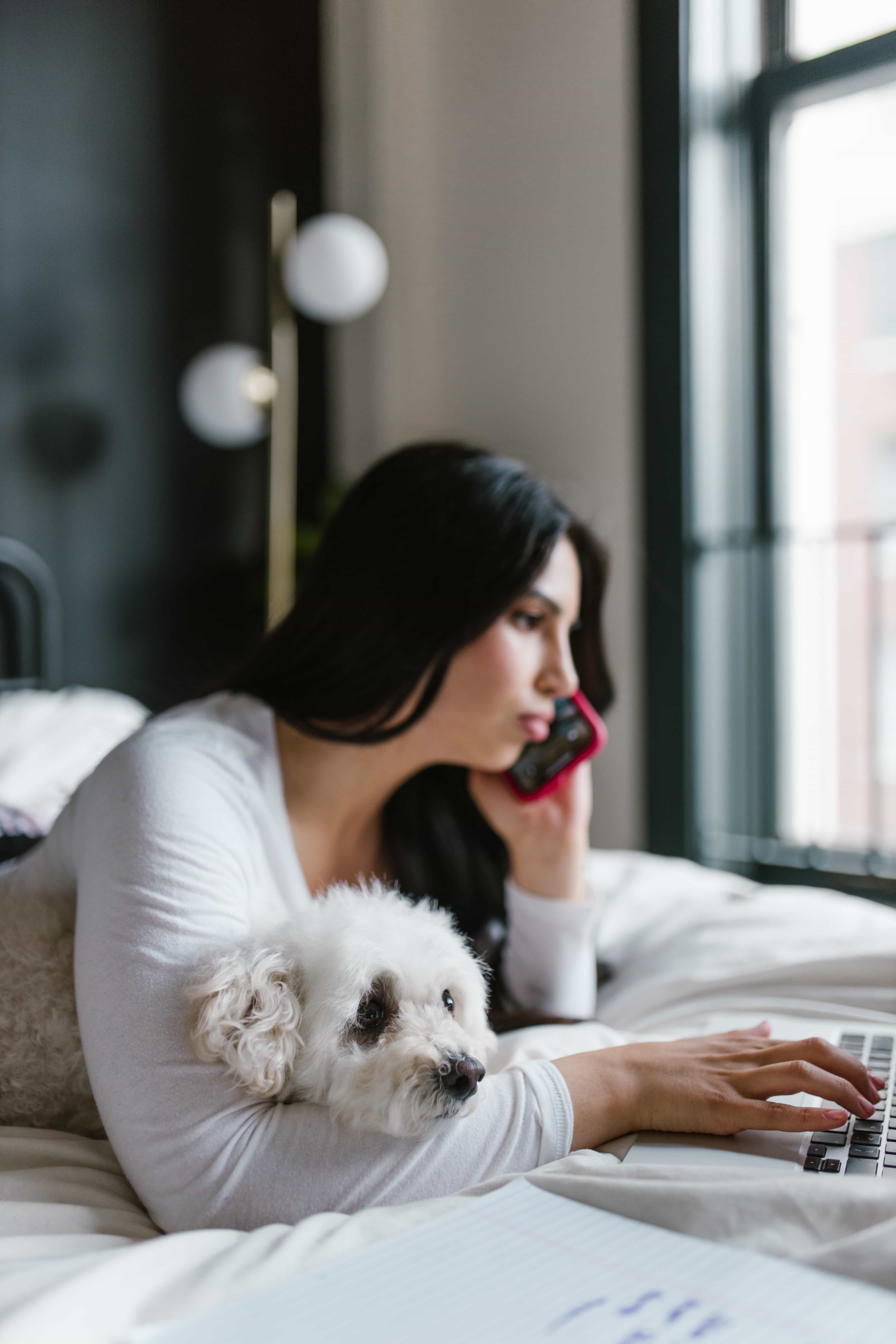 a young lady holding her dog while talking in the phone and surfing the internet simultaneously