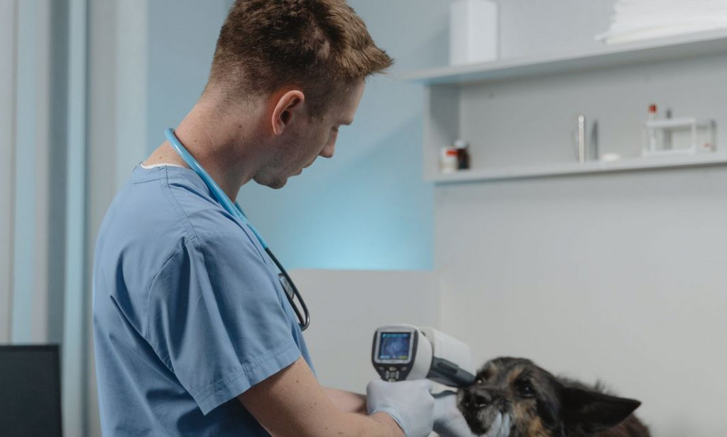 Rose Hill Animal Clinic Rose Hill Veterinary Clinic