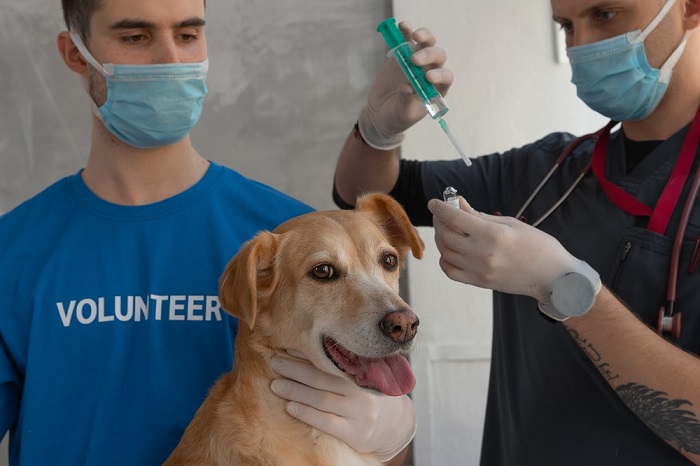 Leawood Animal Hospital