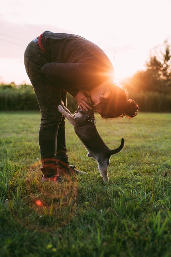 pet health center of lynn haven